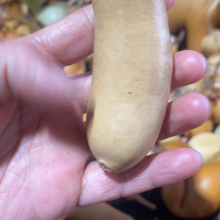 璞***緣葫芦哈哈哈哈哈哈哈哈