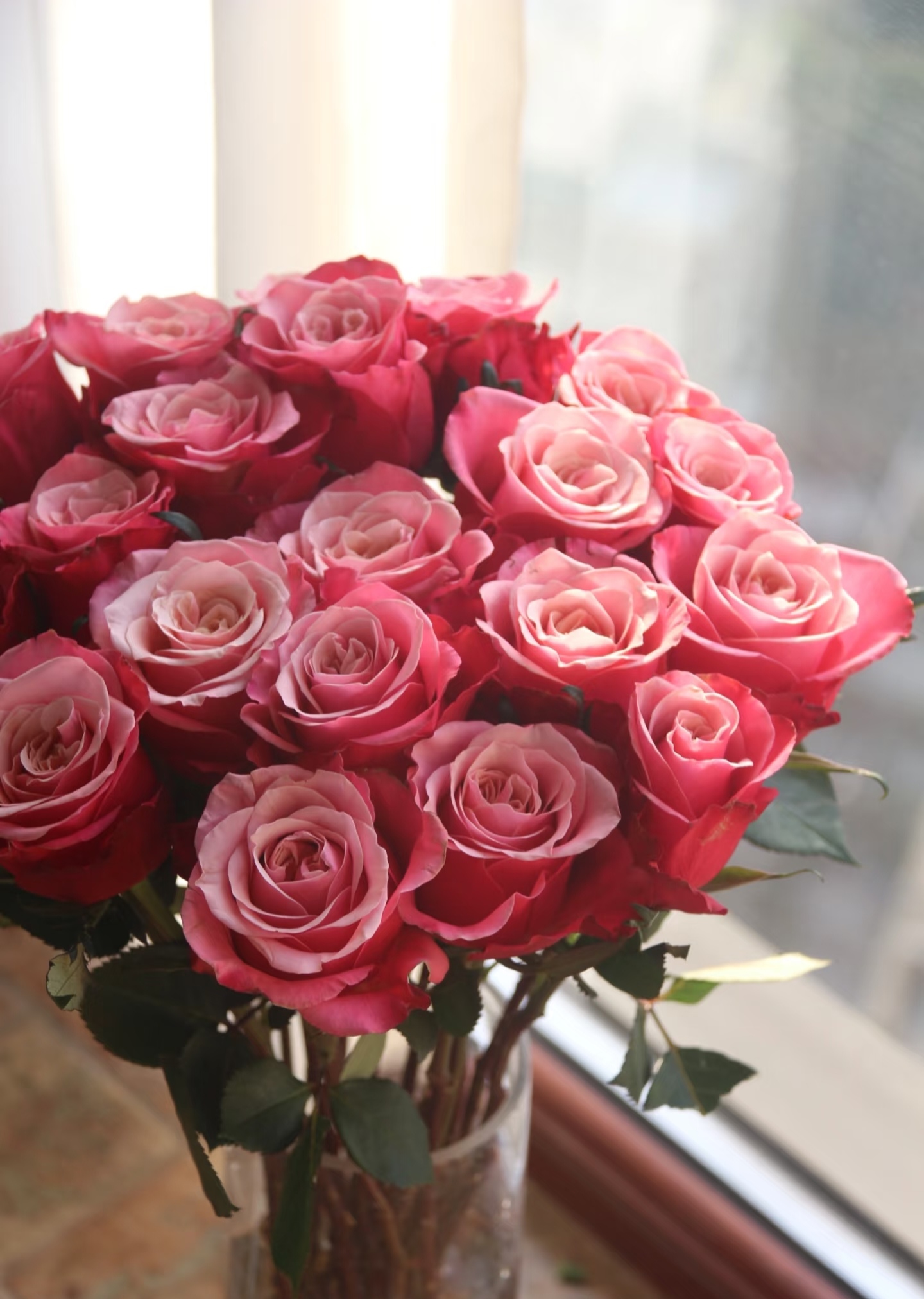 闺蜜玫瑰【收到花有任何问题请第一时间联系客服】