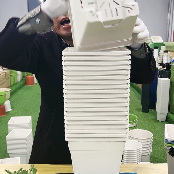 正品方盆口20高22白色6只无托