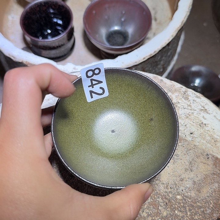 茶盏提出解决农村留守学生入学