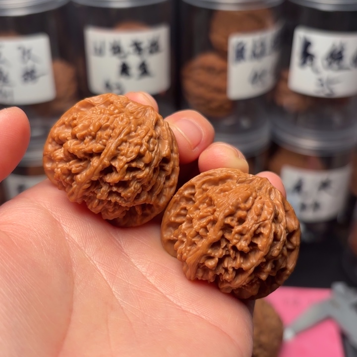 树***理木质类38。   满天星