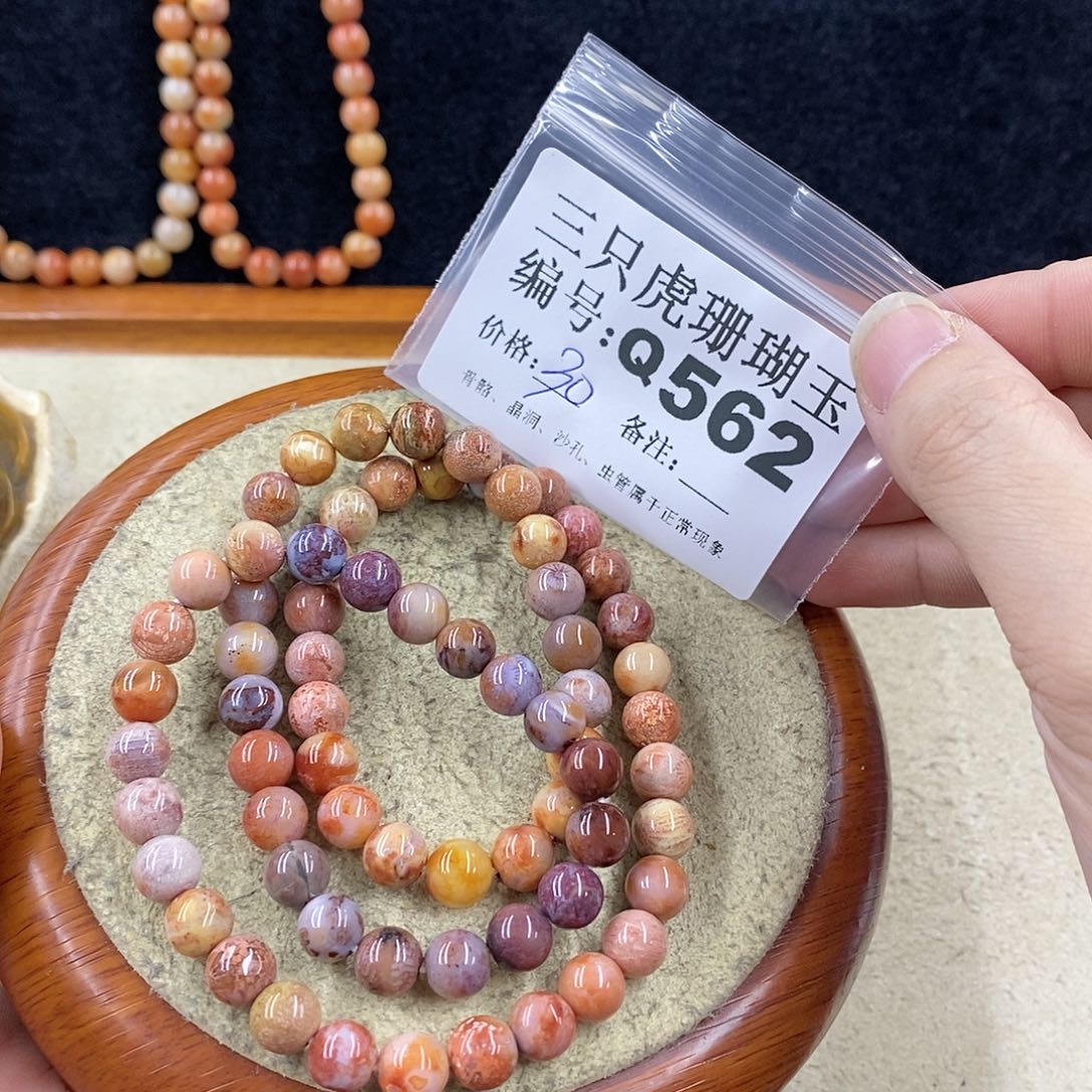 硅化珊瑚（珊瑚玉）1未镶嵌*️**