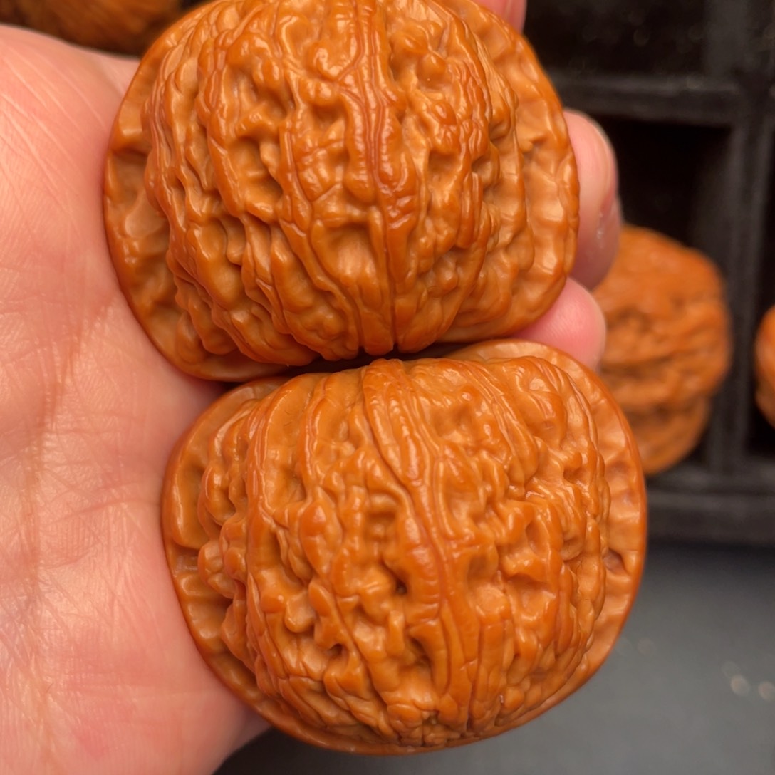 秦岭野生文玩核桃