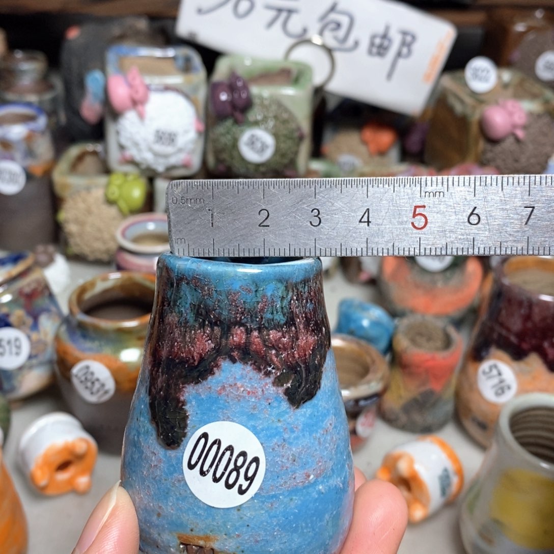 拍5送一个小礼物