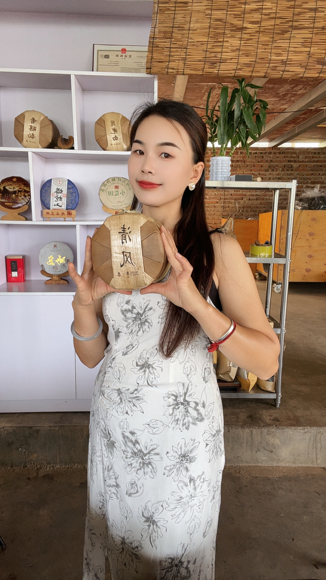 清风/普洱茶生茶/紧压茶/200克*饼