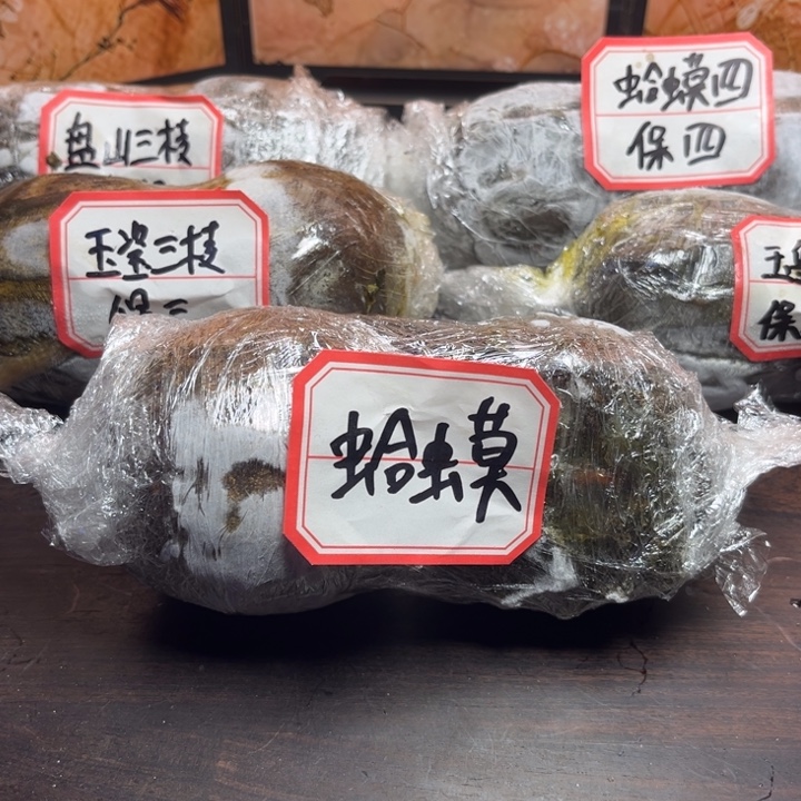 吊坠文玩核桃蛤蟆头