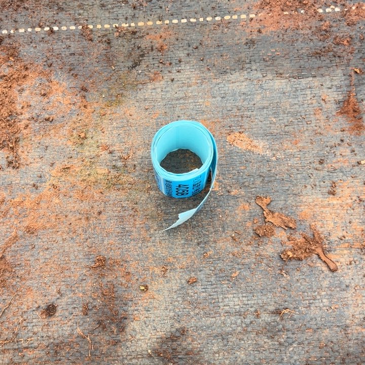 保温-1到-6必拍多肉植物