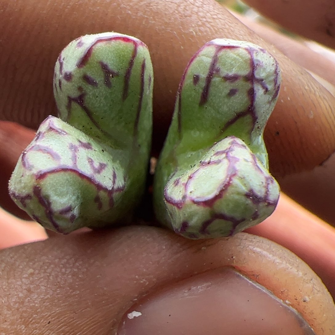 大家过年好22824