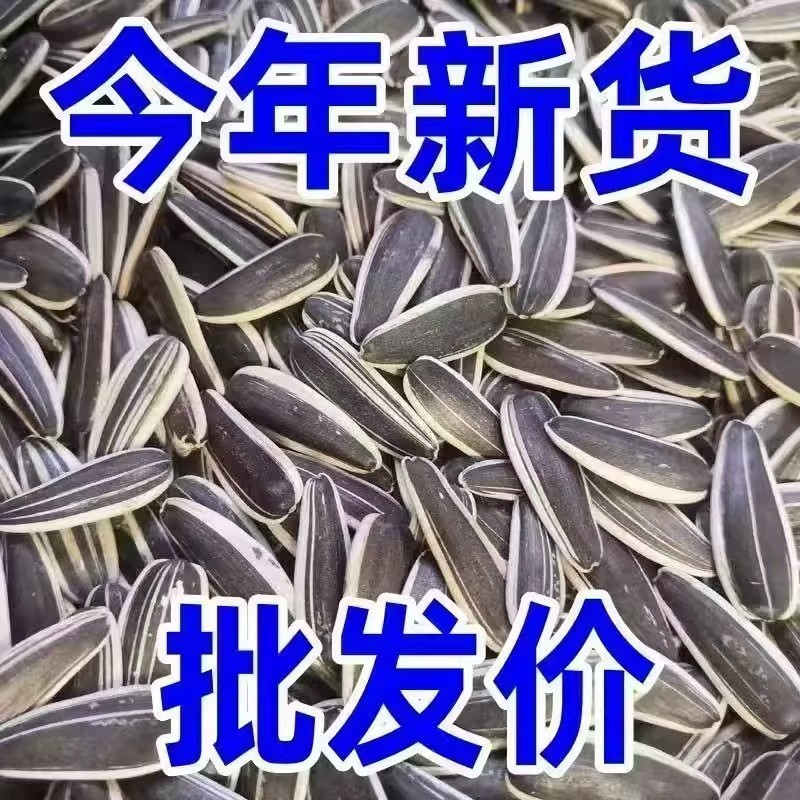 【买一斤送一斤】原味炒熟葵花籽批发炒货零食1