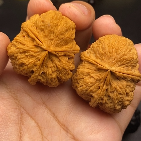 文玩核桃把件40尺帝王印