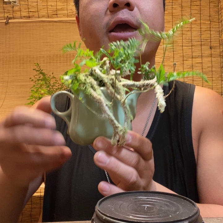 一物一拍所见即所得671