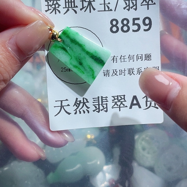 翡翠颈饰未镶嵌8859。