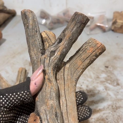 大果紫檀（缅甸花梨）紫****）