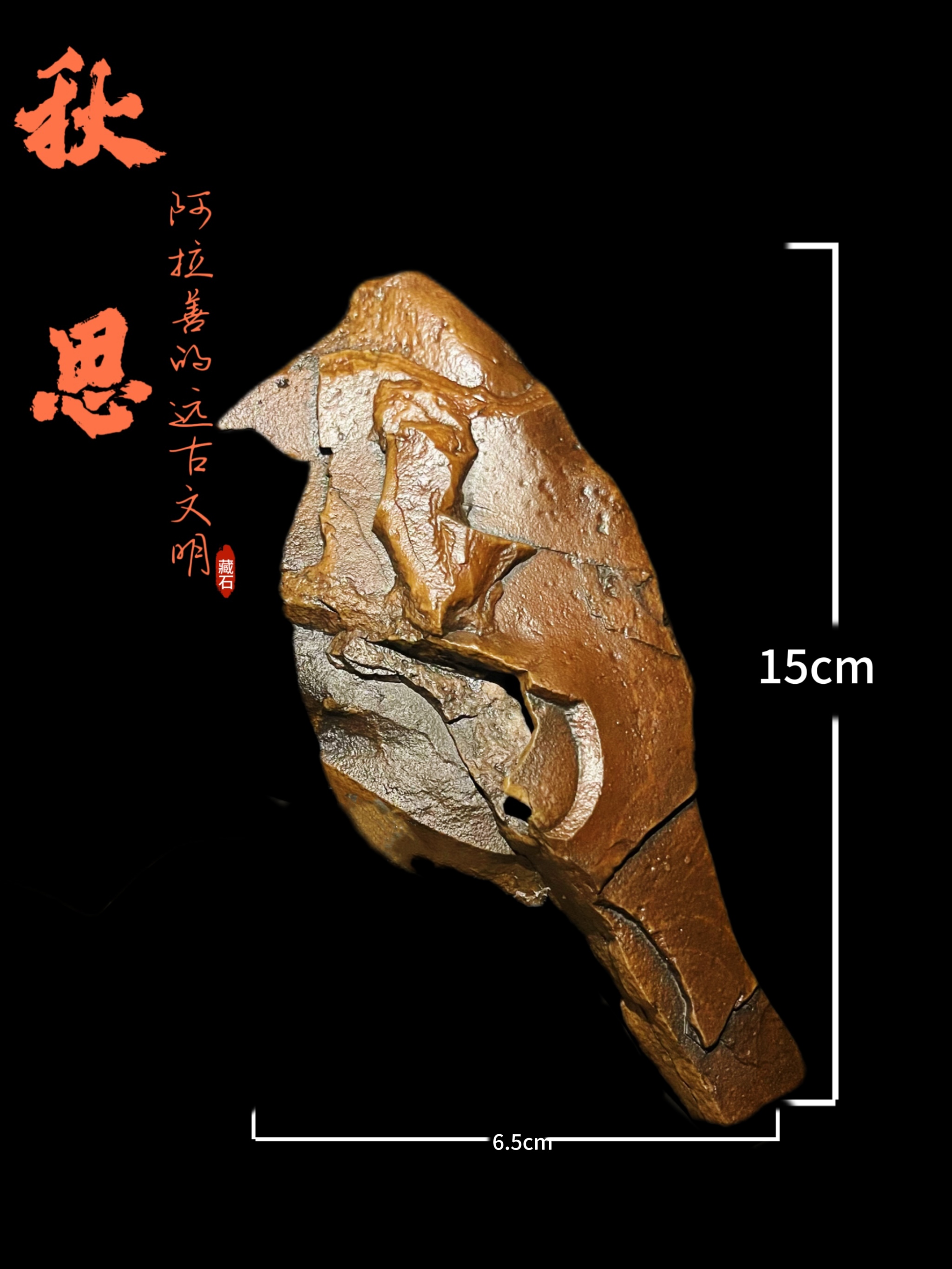 阿拉善创意戈壁石银根老皮玛天然摆件工艺品