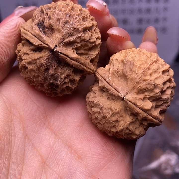 核桃云南野生铁核桃161号38mm