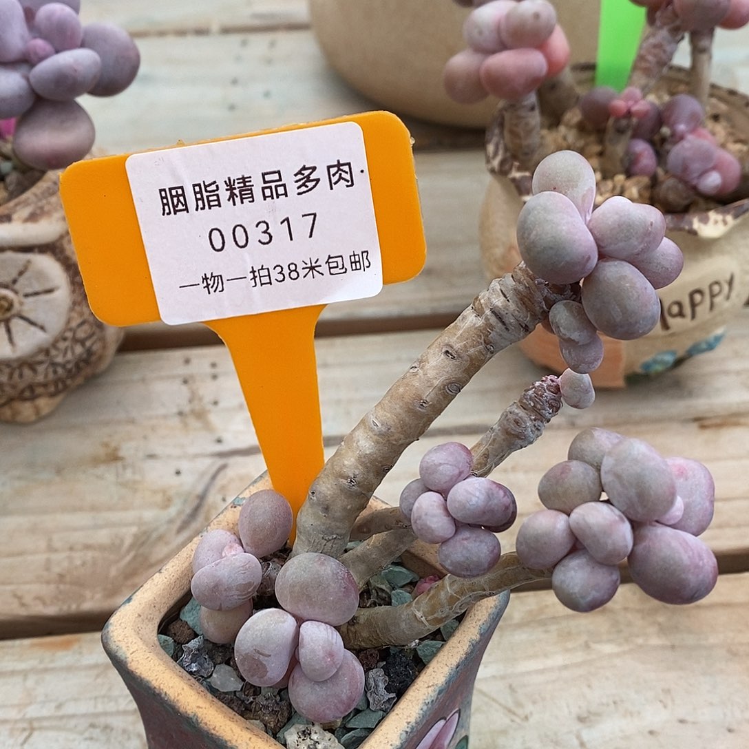 00317，凑图嗯哦哦哦哦哦