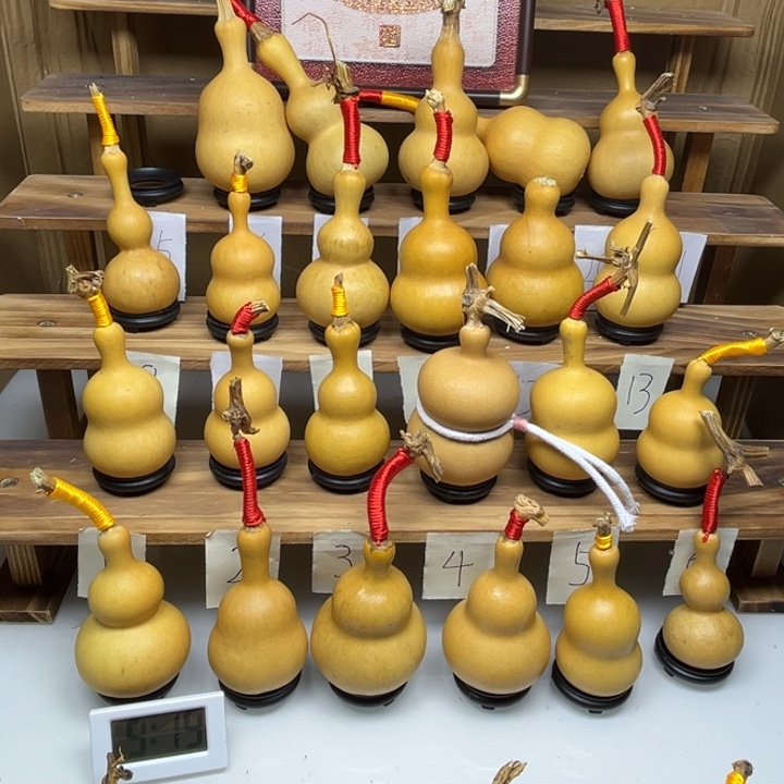 丽***鹏啦啦啦啦啦啦啦啦啦啦