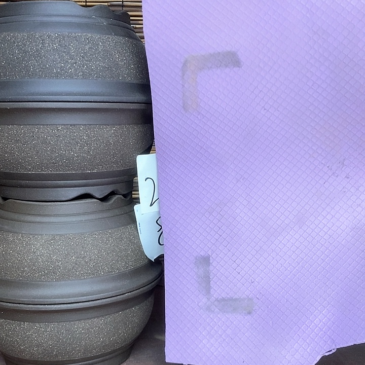 紫砂花盆我在外面