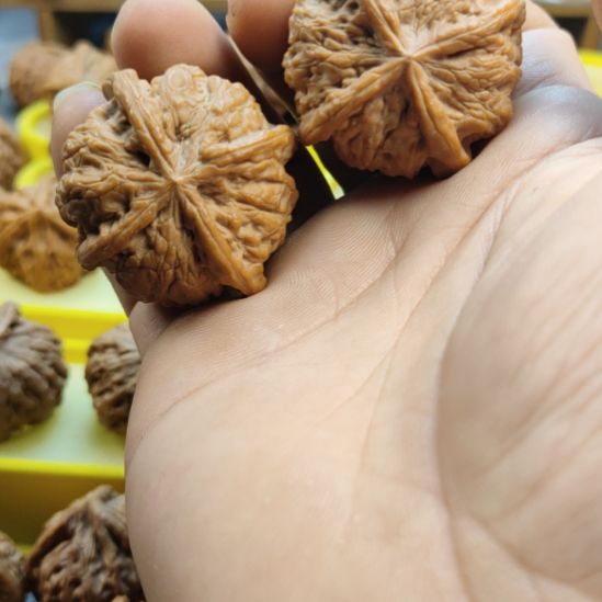 明***天木质雨花石四棱核桃