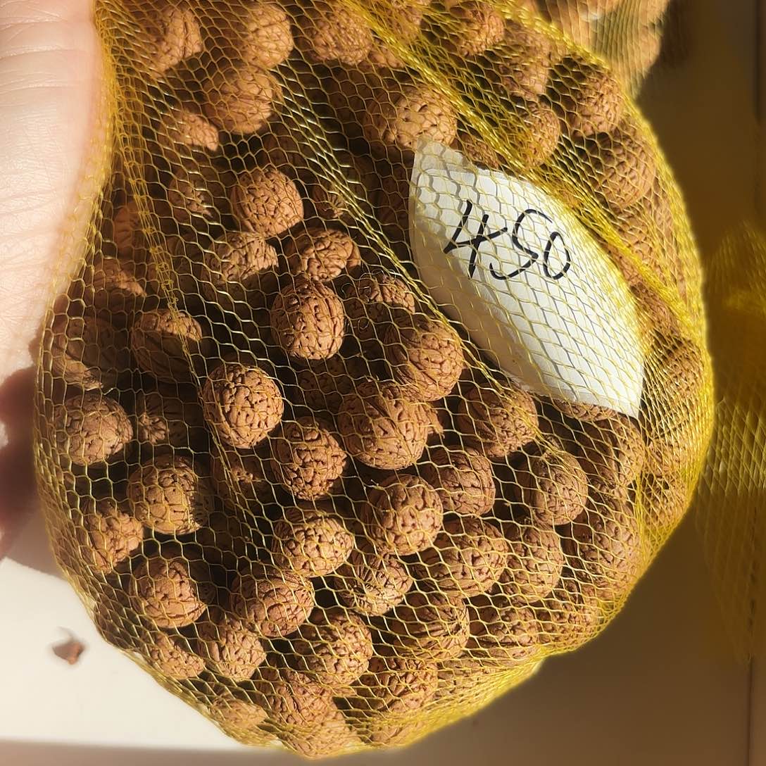 您***了吊坠桃核福利多多