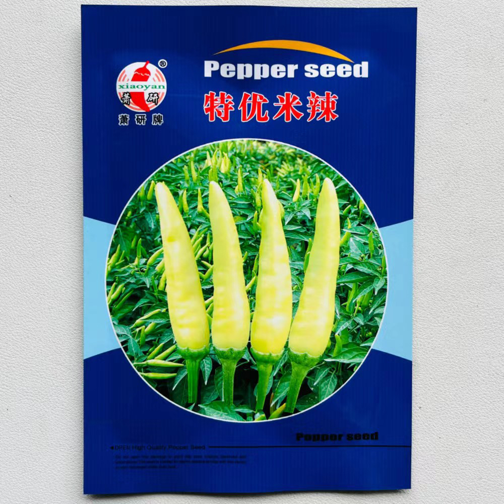 黄白皮辣椒商品性好抗病结果多超辣白皮辣椒可腌制泡椒种子