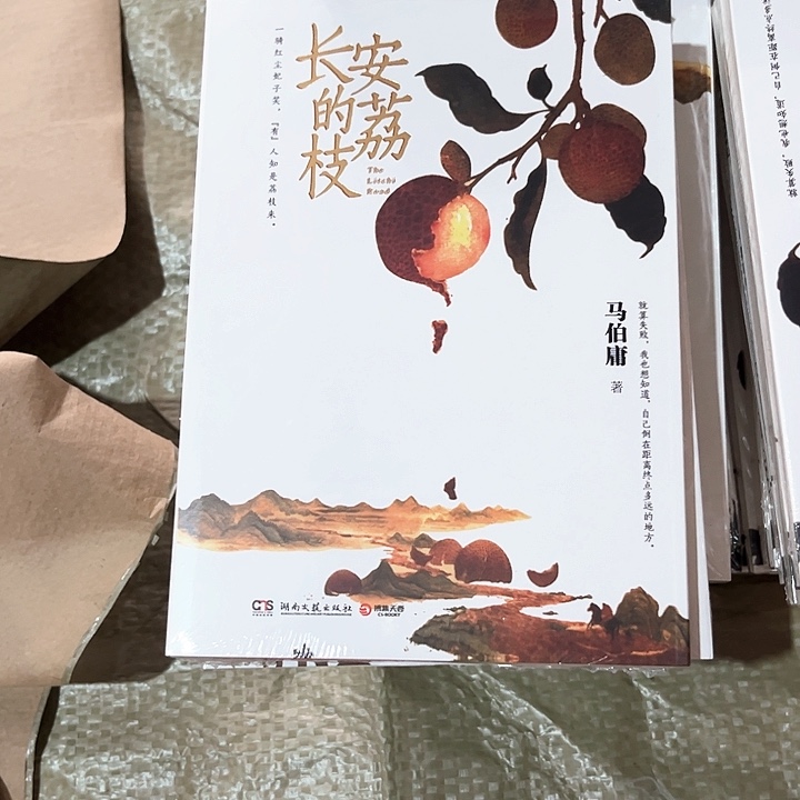 长安的荔枝新书推荐