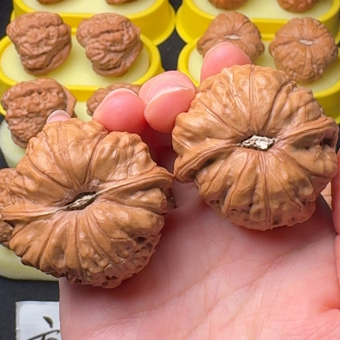 p***o文玩核桃精品南瓜42全