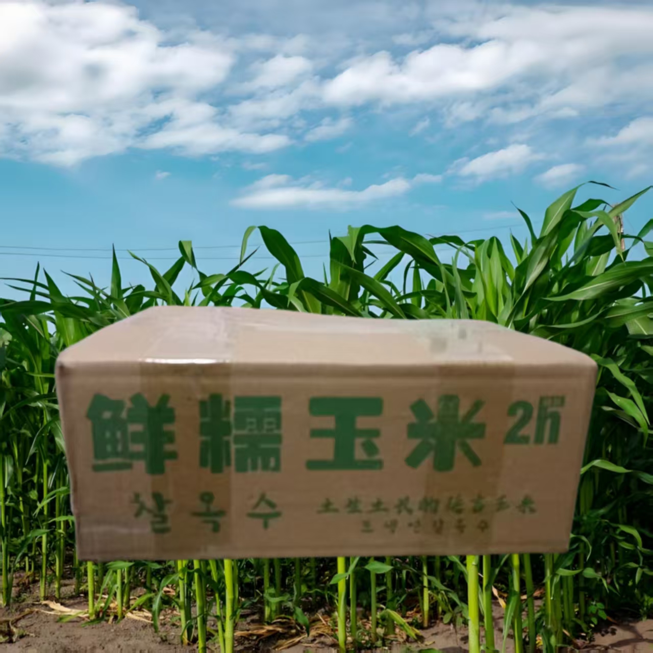 延边玛达迈鲜糯玉米真空包装特惠装