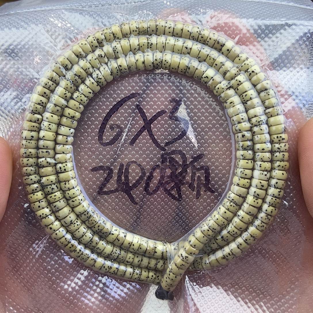 星月菩提吊坠63少星，240颗，原脂白，微氧化