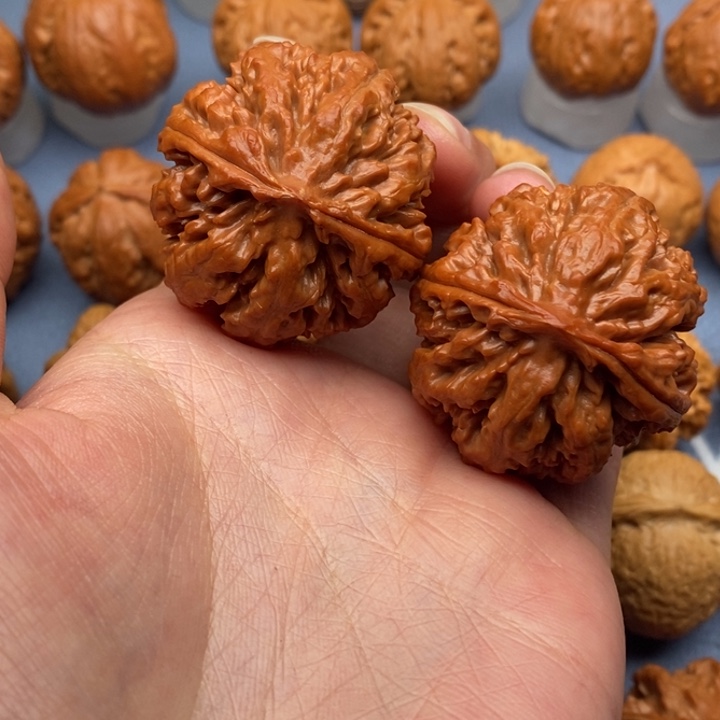 文玩核桃把件人****光至尊龙纹