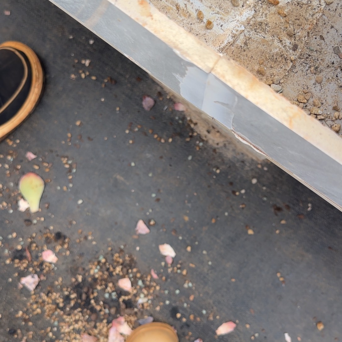 P***y存款多肉。          