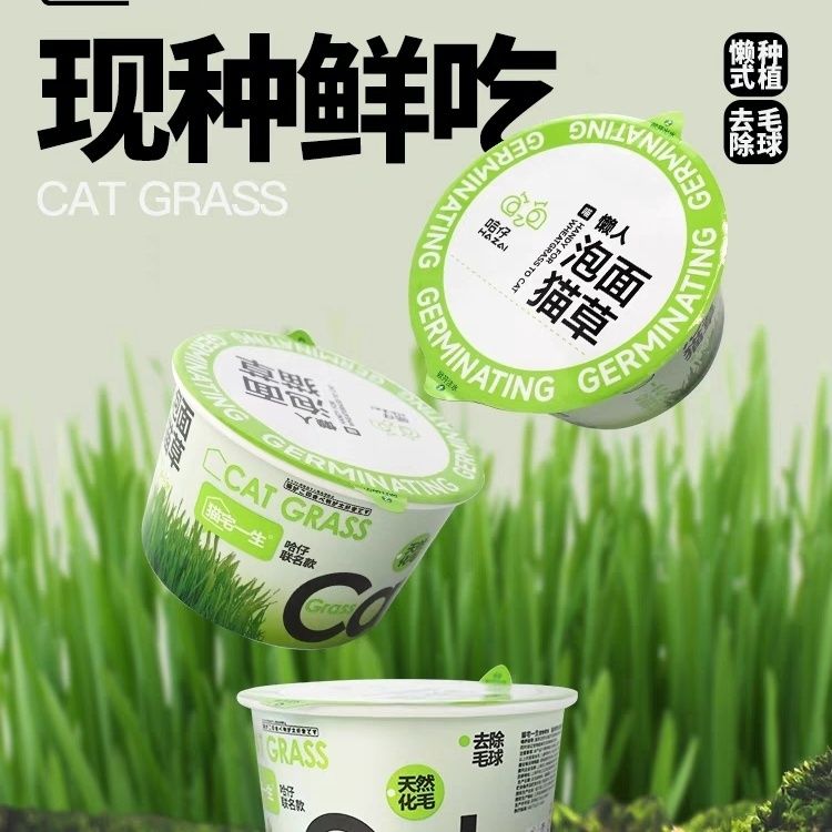 猫宅一生泡面猫草联名哈仔猫草种植套装猫咪懒人好种植猫天然化毛