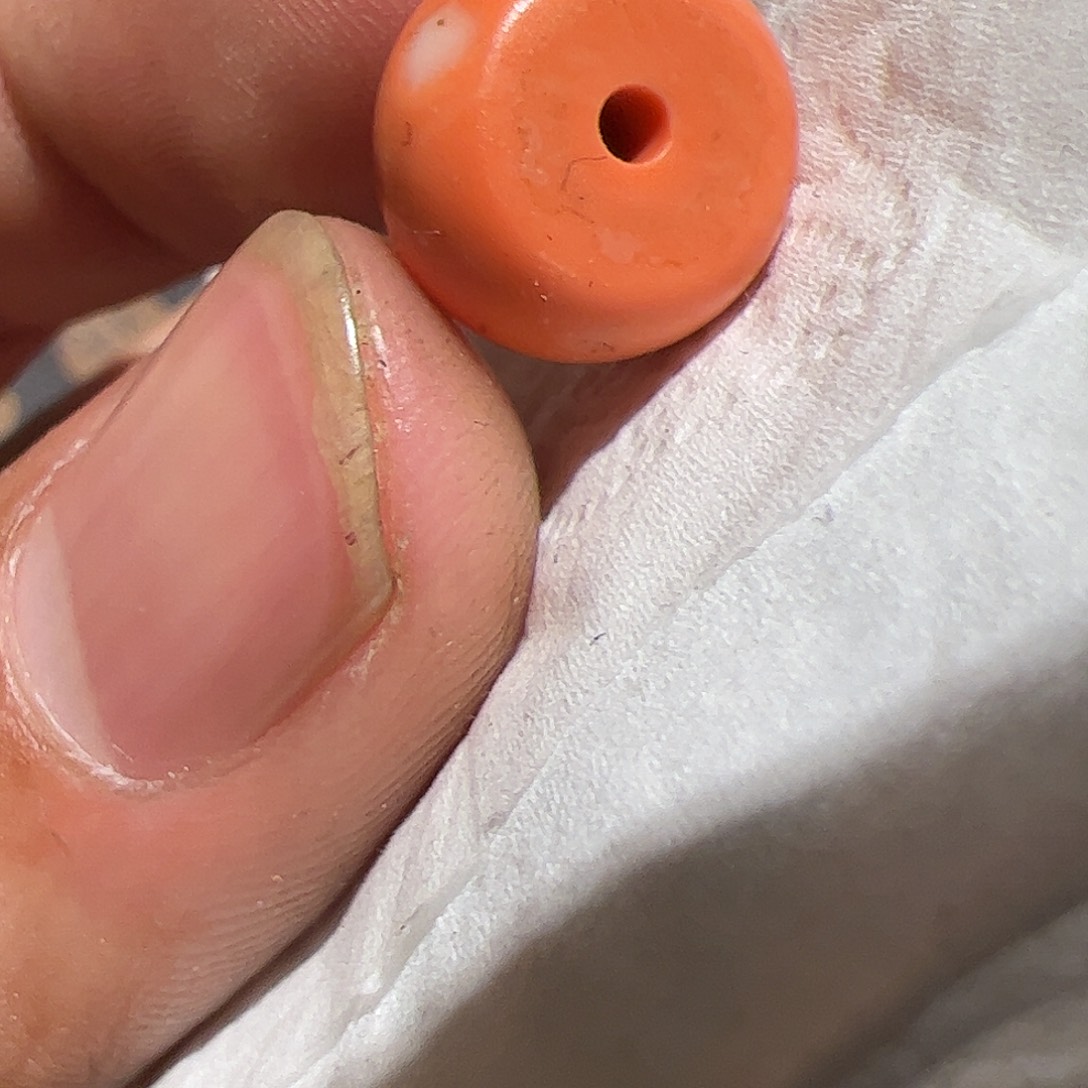 香榧木你的时候你