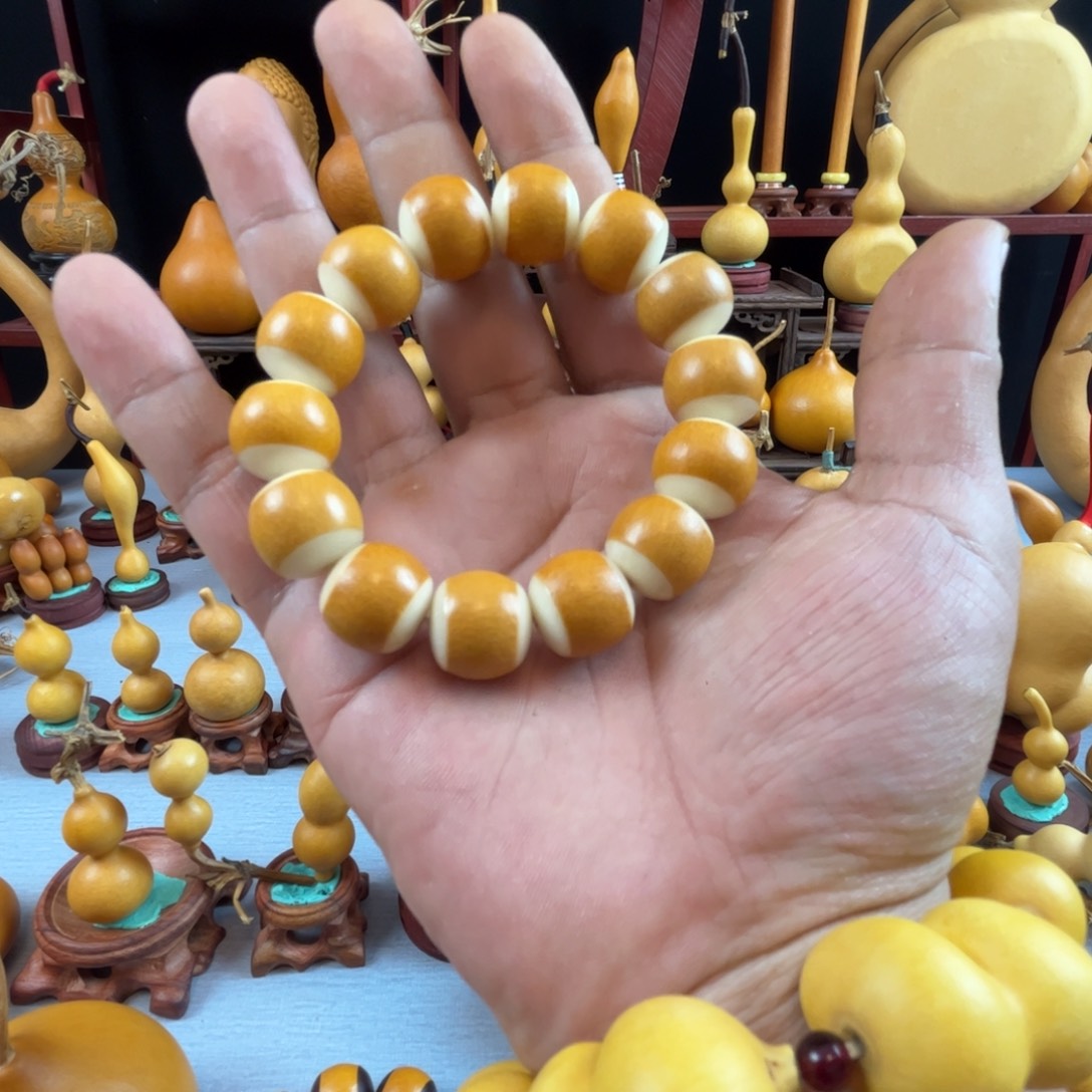 星***】藤木我的小可爱，一点也不像个女孩