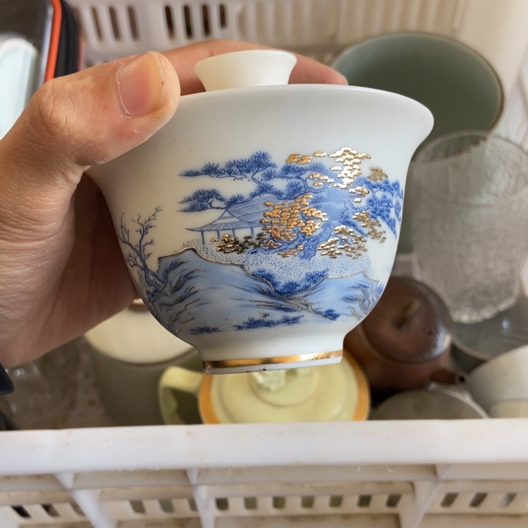 杯直播链接直播链接