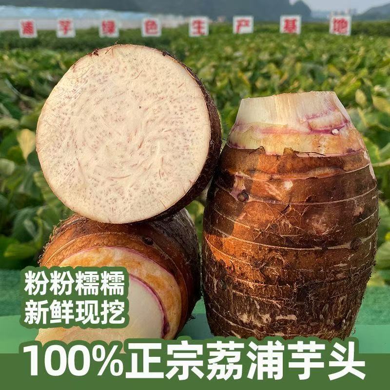 【乡上桂圩】顺丰包邮 广西正宗荔浦芋头新鲜现挖香粉糯特产大芋头