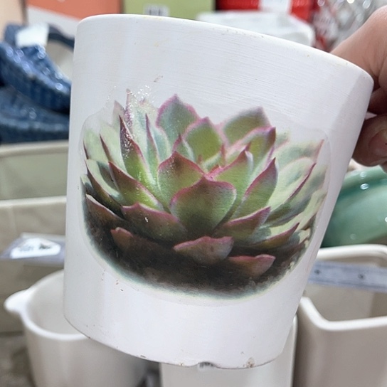 陶瓷外贸尾货多肉绿植陶瓷花盆