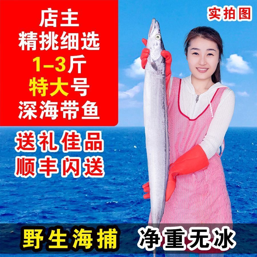 【银鳞大号钓带鱼】深海新鲜冷冻海钓带鱼特大整条钓带鱼刀鱼无冰衣