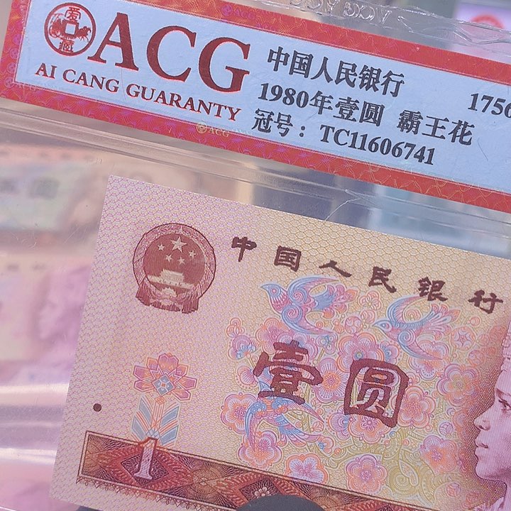 801单张11606741一张红金龙