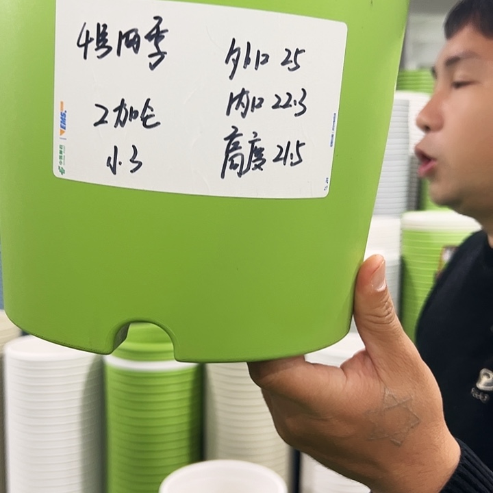 特价4号四季口25高21果绿色8个带托