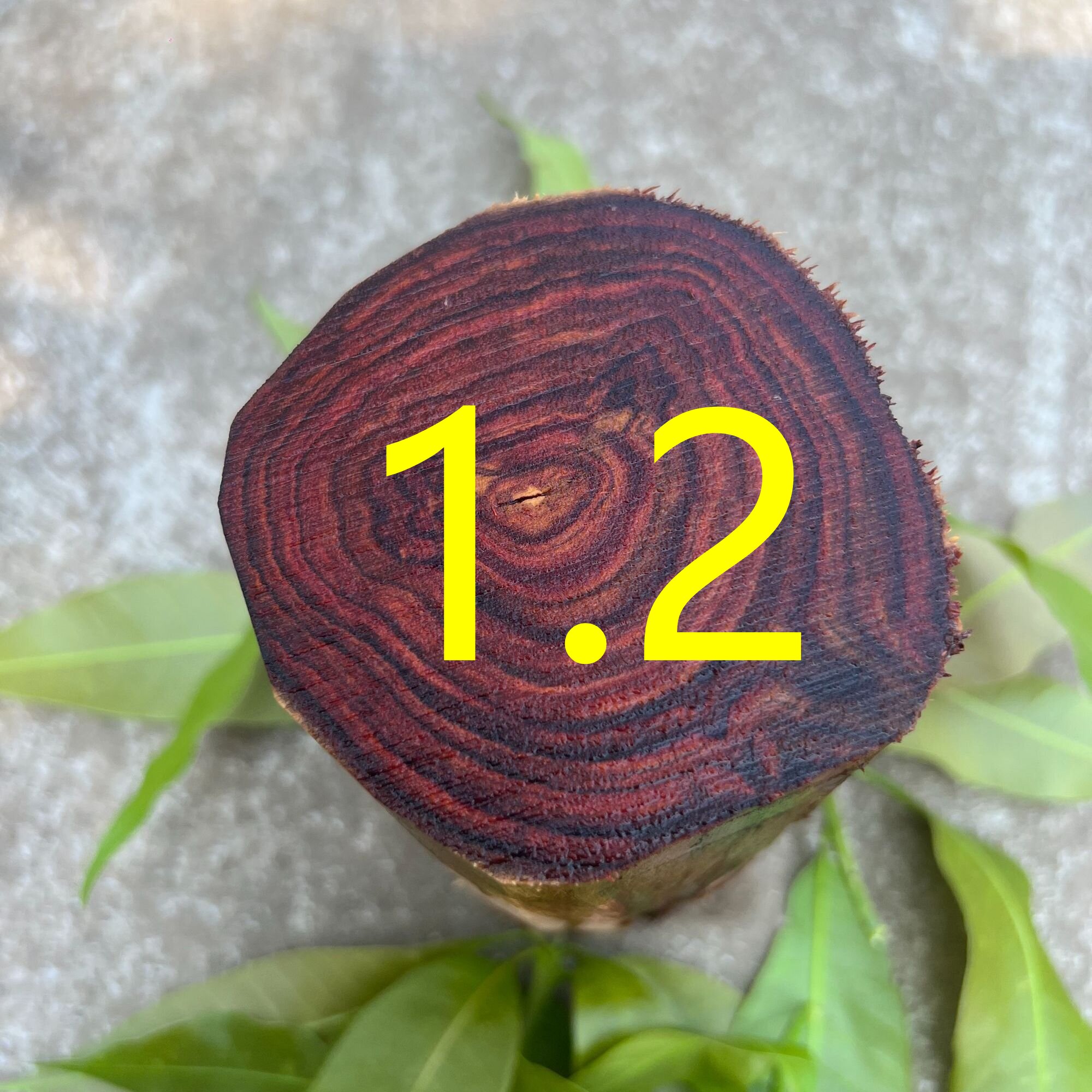 海南黄花梨定制1.2X17颗手串 所见即所得