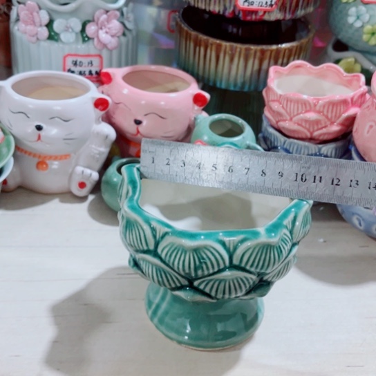 红陶111111111111111111111