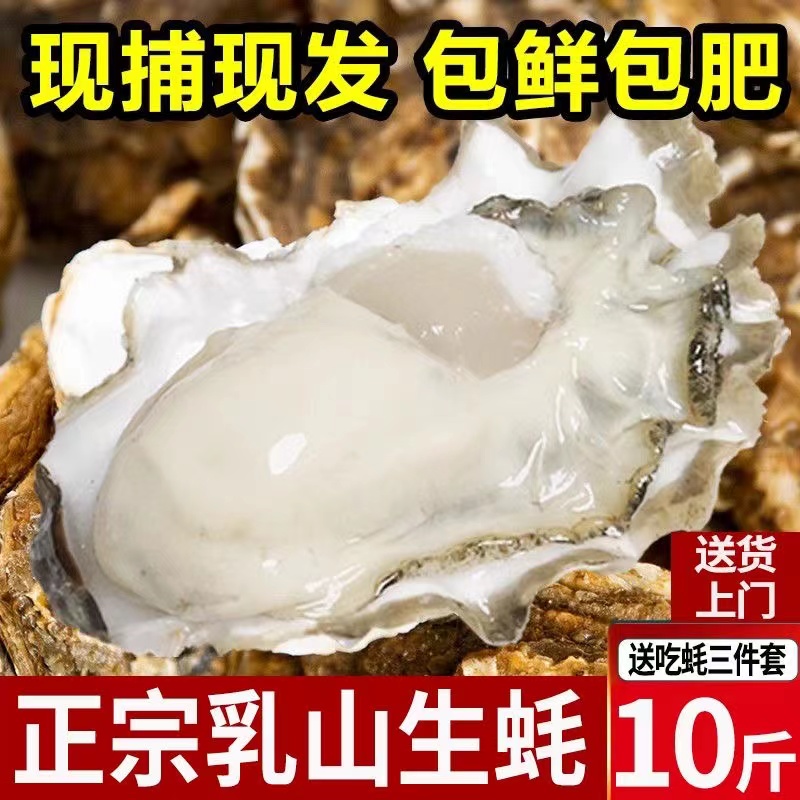 【待开价】金标乳山生蚝顺丰包邮