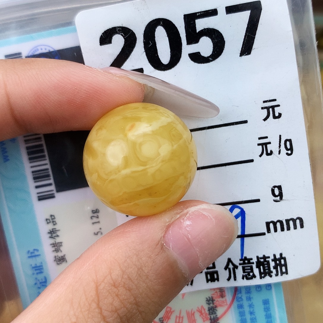 未镶嵌琥珀珠宝奇石20.7植物