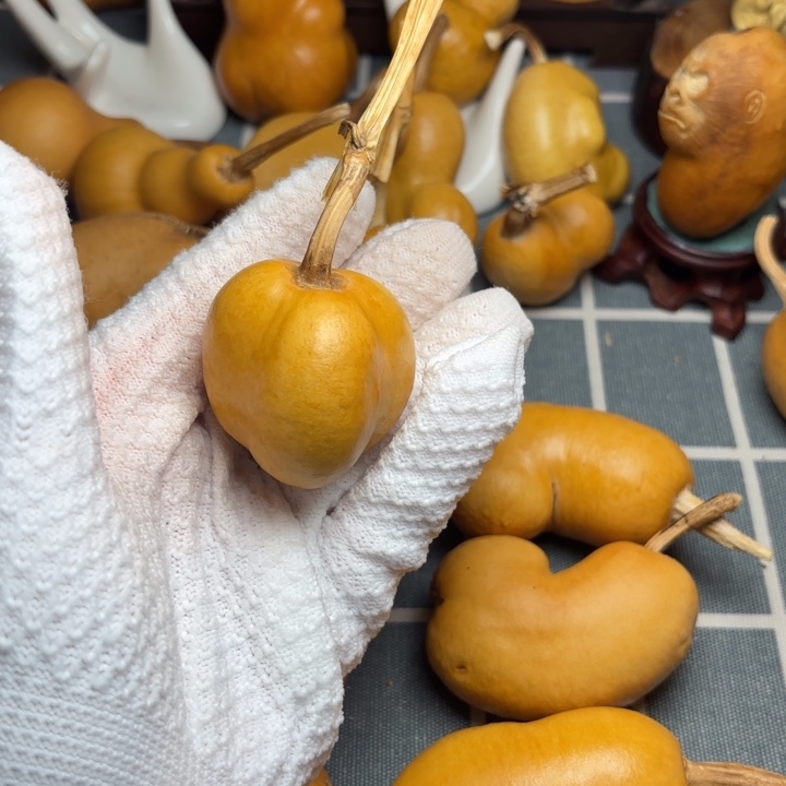 用***7葫芦6666776666666