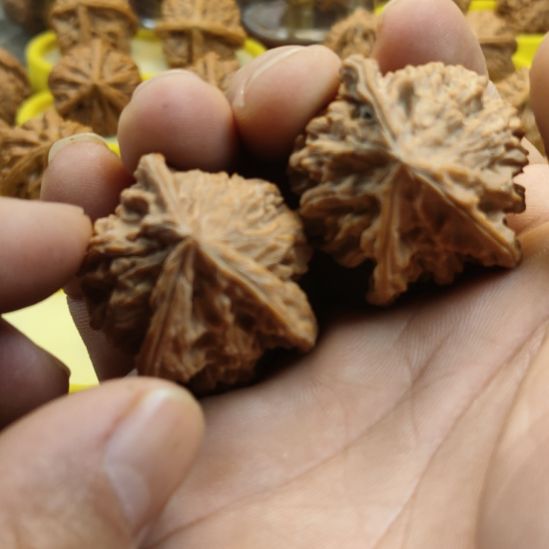 木质盘山三棱核桃，