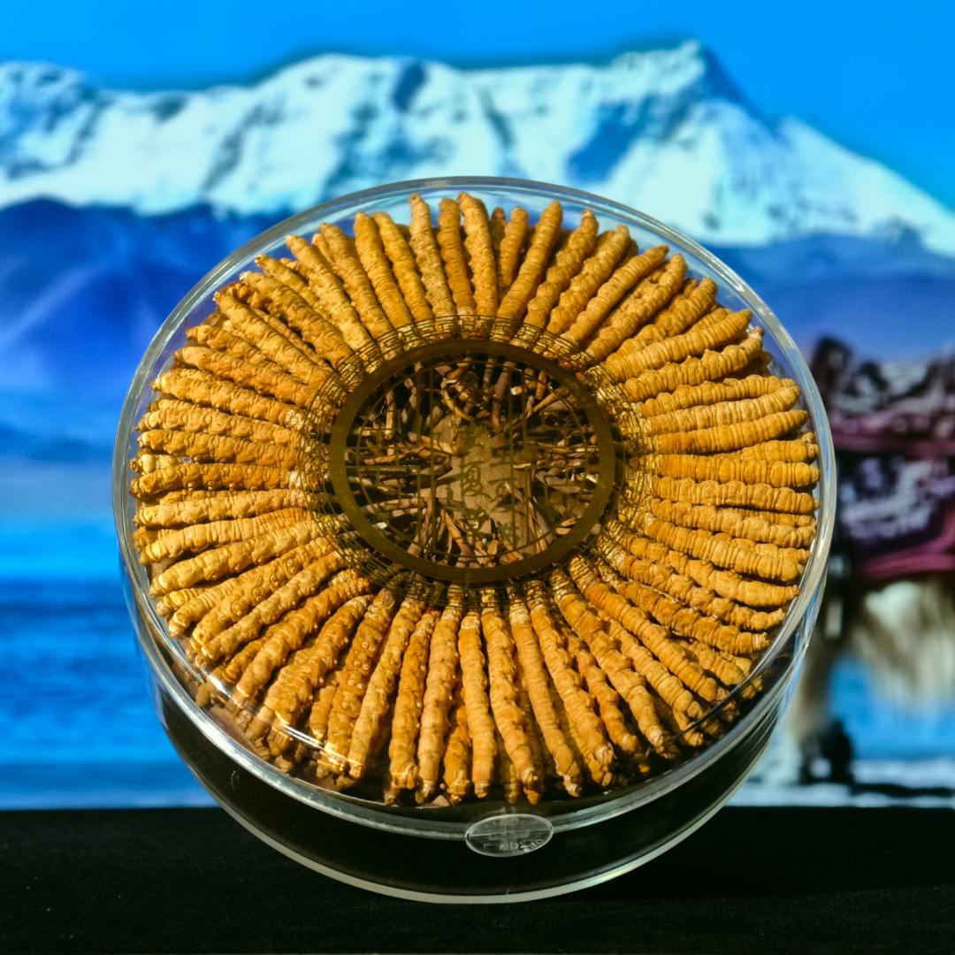 【玛朵】50克冬虫夏草 2025优选头茬新干草 泡酒煲汤自用佳品