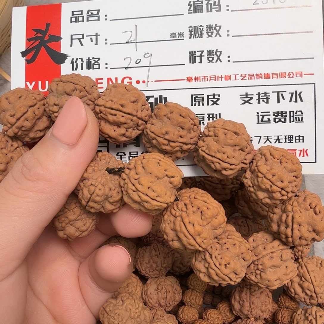 金刚菩提吊坠Bbbbbb2313