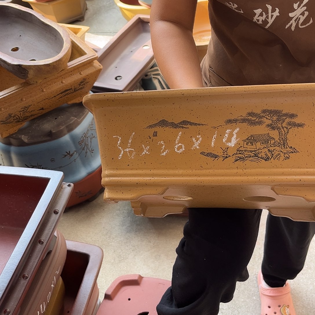 紫砂花盆盆景艺术