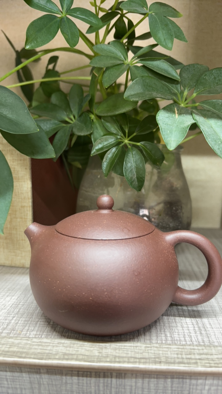 黄龙山底槽清倒把西施壶、容量200cc